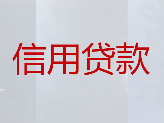 平阳本地贷款中介